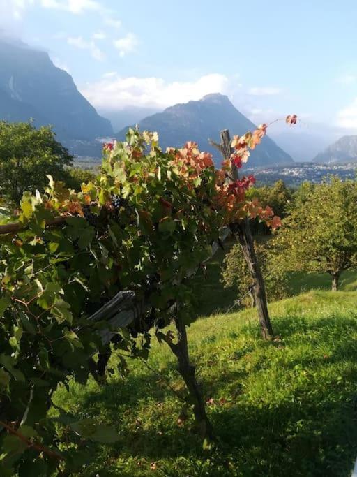 La Casa Nel Prunent Trontano 外观 照片
